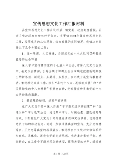 宣传思想文化工作汇报材料.docx