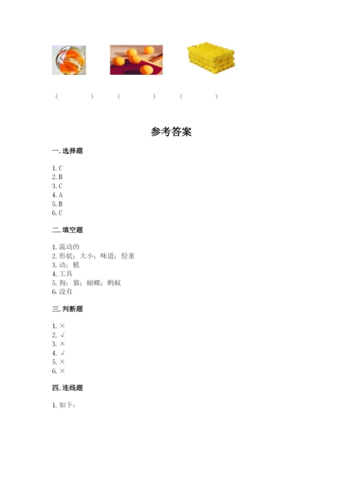 教科版小学科学一年级下册期末测试卷（夺分金卷）.docx