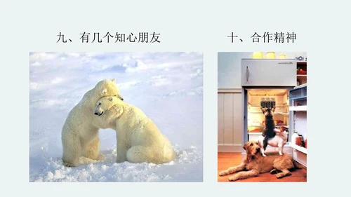 中学生心理健康主题班会PPT模板