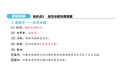 第18课 科技文化成就  课件 2024-2025学年统编版八年级历史下册