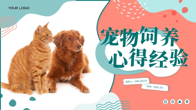 莫兰迪色卡通风宠物饲养心得经验分享PPT模板