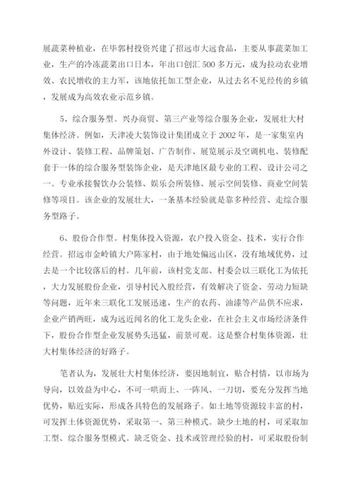 关于壮大农村集体经济的调研论文.docx