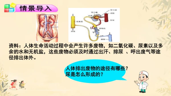 初中生物学人教版（新课程标准）七年级下册4.5 人体内废物的排出课件(共24张PPT)