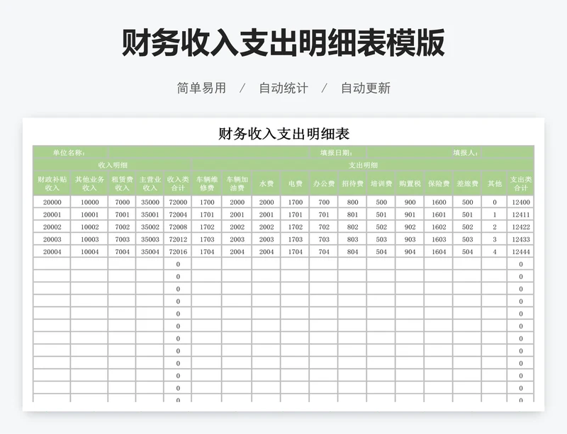 财务收入支出明细表模版