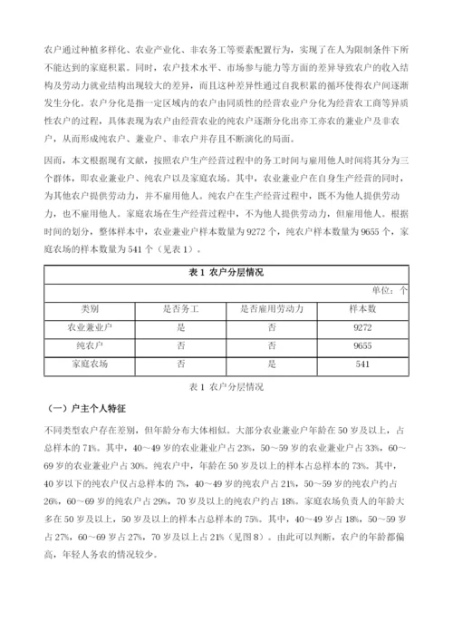 中国农户发展状况分析报告.docx