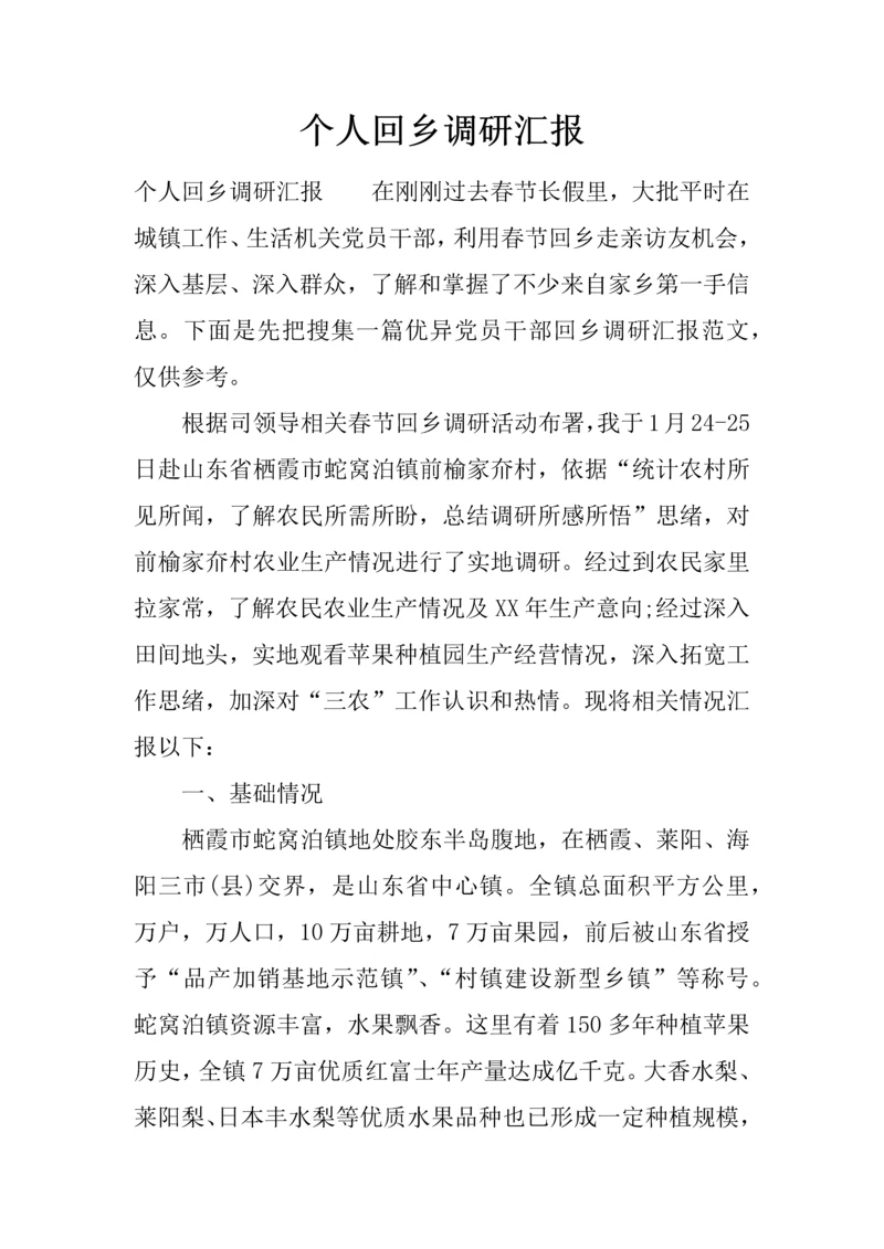 个人回乡调研研究报告.docx