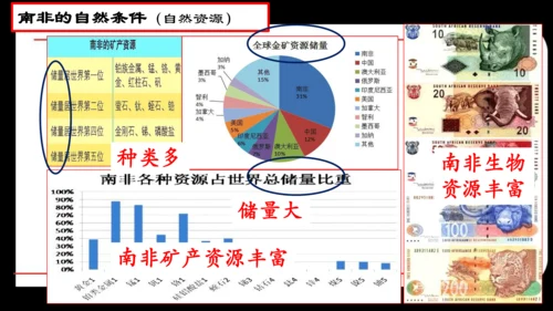 人文地理上册  如何认识区域——以南非为例 课件（14张PPT）