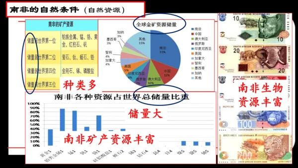 人文地理上册  如何认识区域——以南非为例 课件（14张PPT）