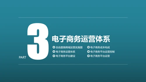 互联网平台直播电商运营方案PPT模板