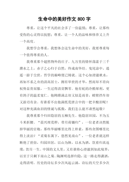 生命中的美好作文800字.docx