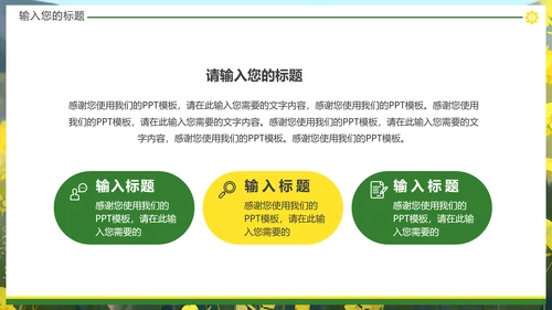 油菜花摄影，油彩花开PPT模板