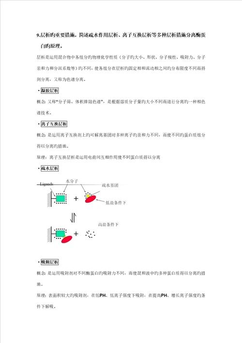 酶关键工程复习材料