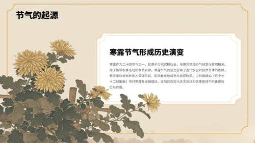 橙色中国风寒露节气PPT模板