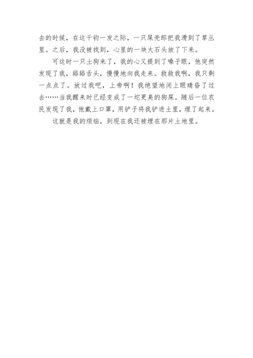 五年级作文介绍一种事物说明文500字.docx