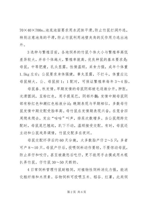 竹鼠养殖计划书 (4).docx