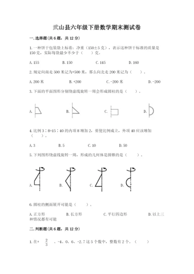 武山县六年级下册数学期末测试卷必考题.docx