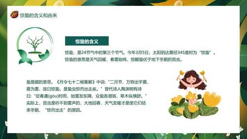 七星瓢虫惊蛰PPT模板