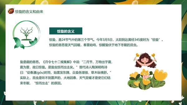 七星瓢虫惊蛰PPT模板