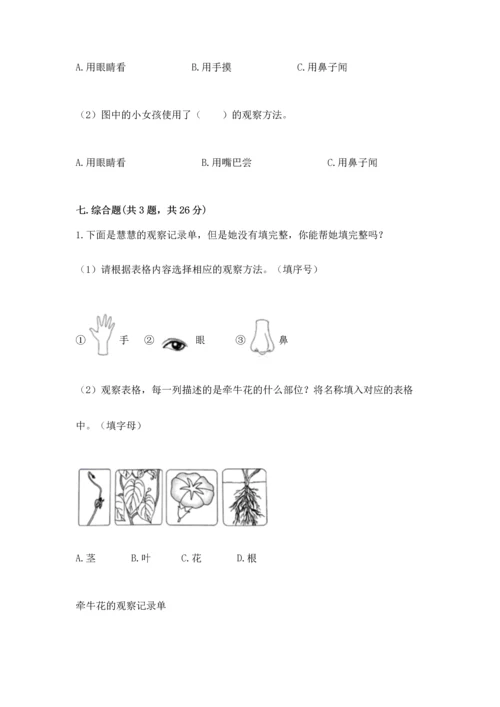 教科版科学一年级上册期末测试卷含完整答案【历年真题】.docx