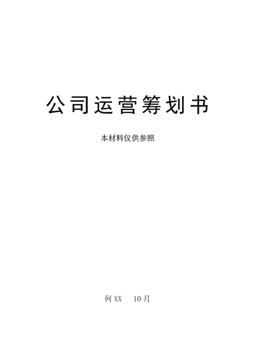 公司运营综合计划书word模板.docx