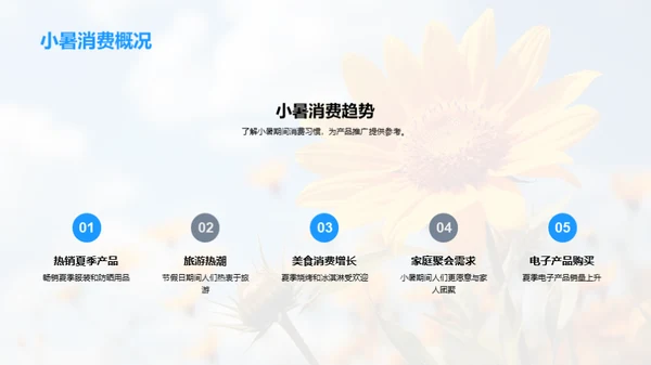 小暑节气产品推广