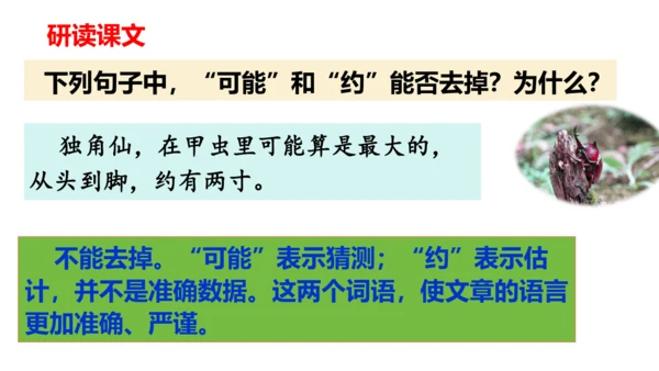 第4课《昆虫备忘录》（教学课件）