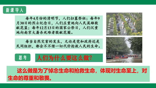 8.2敬畏生命 课件
