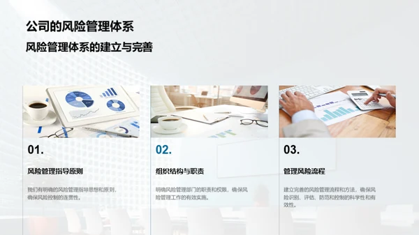 保险风险管理优化