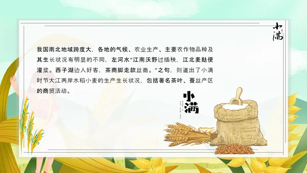 食粮丰收麦穗小满PPT模板