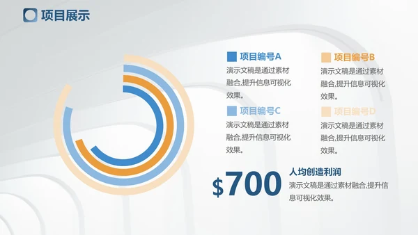 欧美简约风工作总结汇报