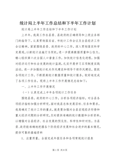 统计局上半年工作总结和下半年工作计划 (2).docx