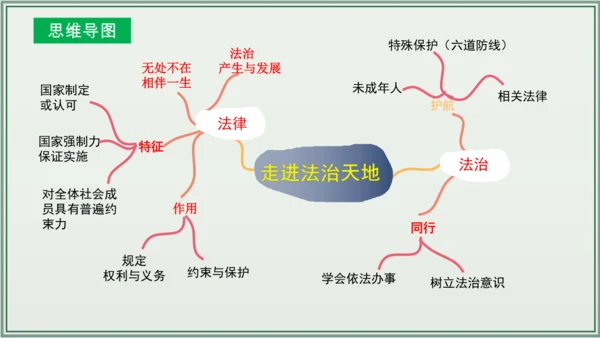 《讲·记·练高效复习》 第四单元 走进法治天地 七年级道德与法治下册 课件(共29张PPT)