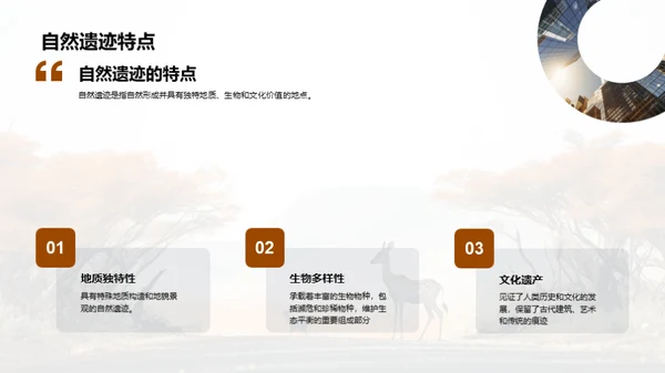 守护绿色宝藏