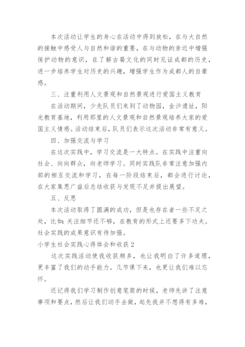 小学生社会实践心得体会和收获.docx