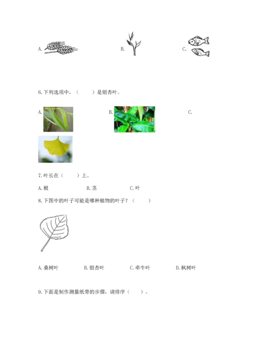 教科版一年级上册科学期末测试卷标准卷.docx