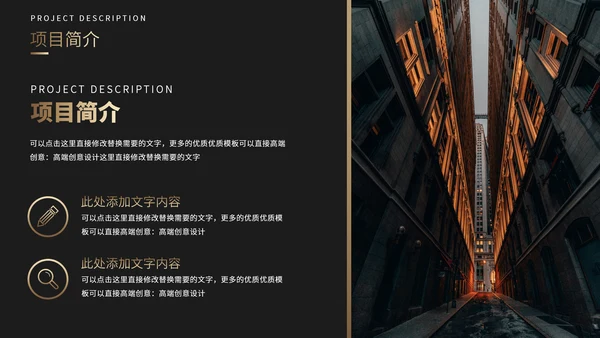 黑金风格项目介绍企业宣传公司介绍招商融资商业计划书PPT模板