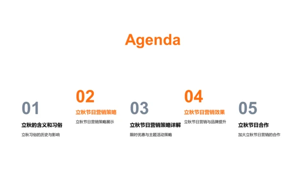 立秋营销策略PPT模板