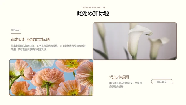浅色极简清新总结汇报通用PPT演示模板