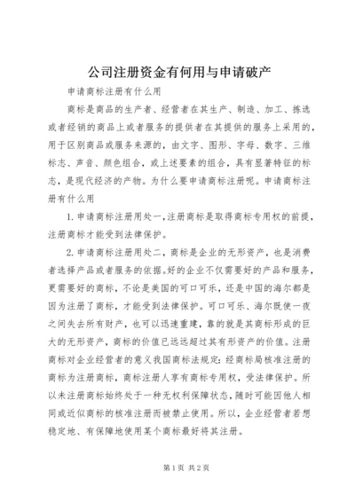 公司注册资金有何用与申请破产 (3).docx