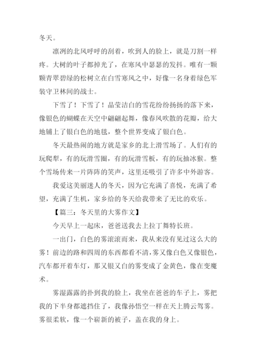 冬景作文300字0.docx