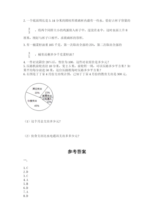 人教版六年级数学小升初试卷及答案【典优】.docx