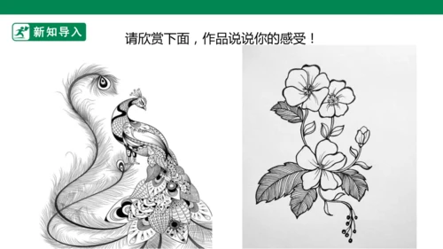 第三课《会动的线条》课件