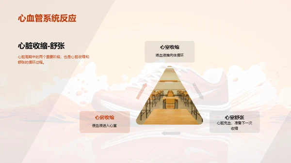 运动生理学全解析