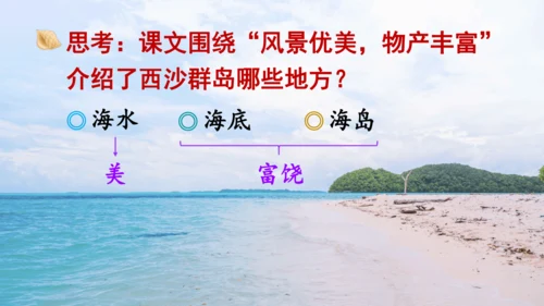 18.富饶的西沙群岛   课件