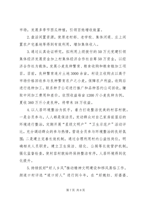 村级工作总结及XX年度工作计划.docx