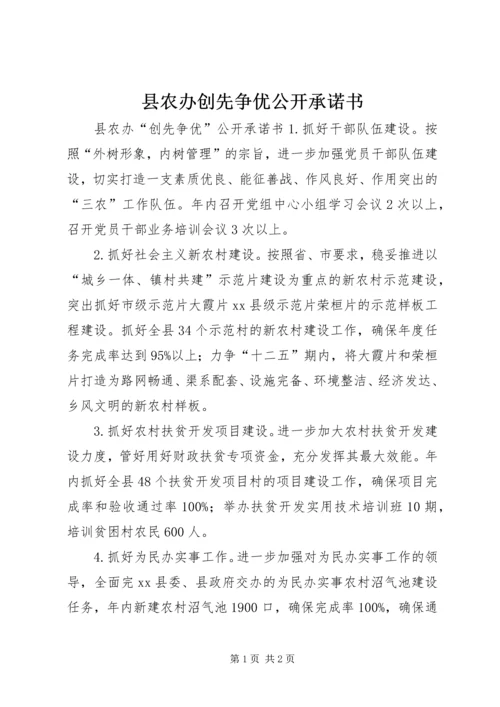 县农办创先争优公开承诺书.docx