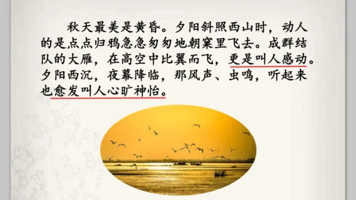 《四季之美》