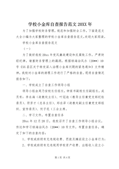 学校小金库自查报告范文20XX年.docx