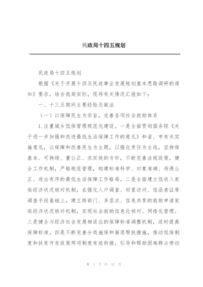 民政局十四五规划.docx