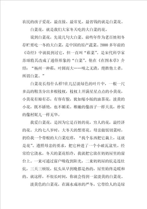高中写景状物散文3篇